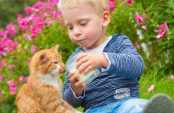 Katze willst du auch einen Schluck Milch ?