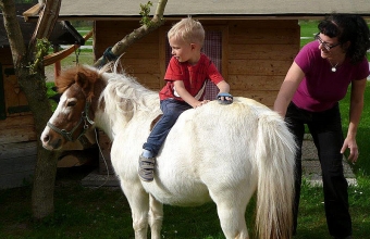 Pony Mona wird ordentlich geputzt vorm reiten gehen! wo? am Arnoldgut in Radstadt ;-)